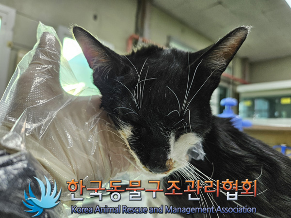 한국동물구조관리협회_441406202402203